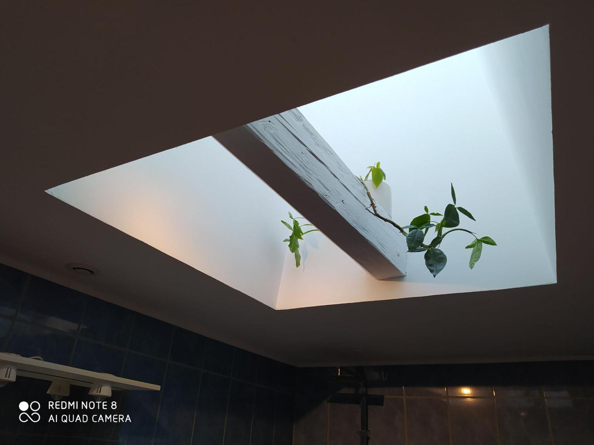 Gite Calme 4 Chambres, Terrasse Privative, Draps Inclus - Germonville - Fr-1-584-167 Kültér fotó