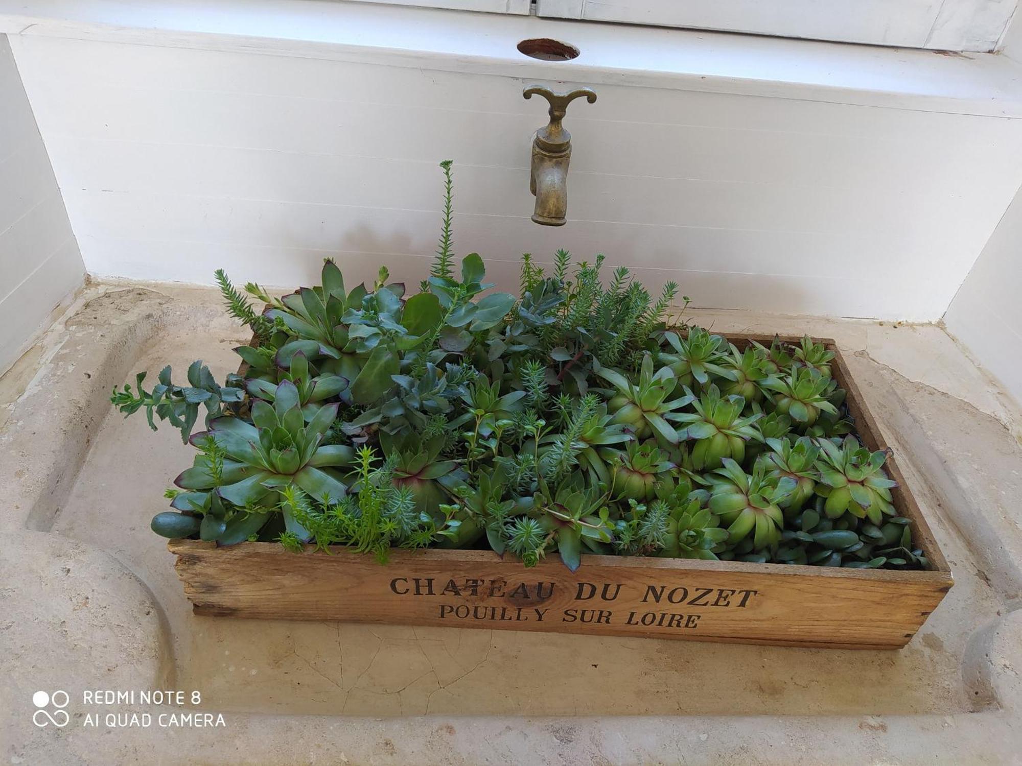 Gite Calme 4 Chambres, Terrasse Privative, Draps Inclus - Germonville - Fr-1-584-167 Kültér fotó
