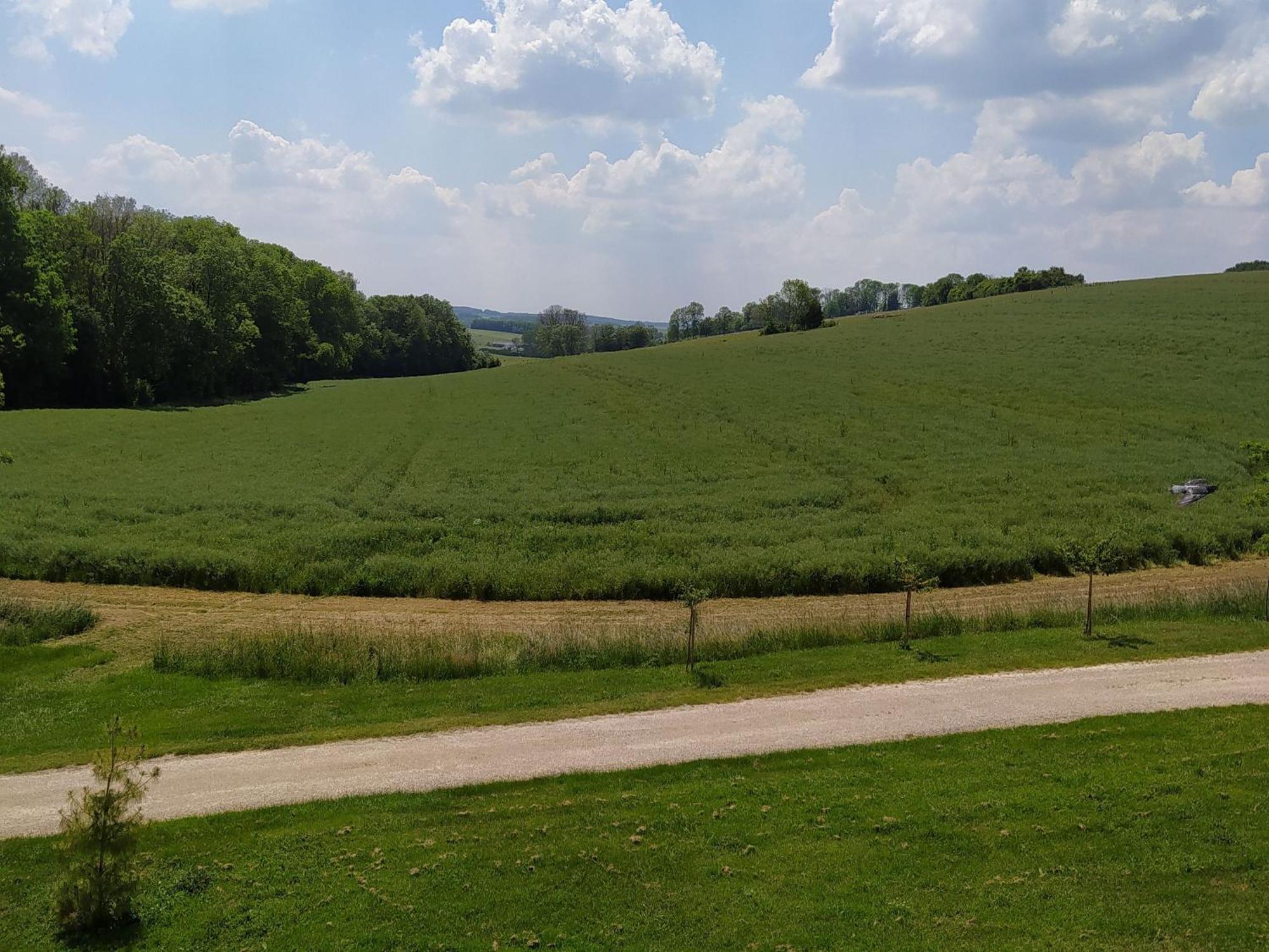 Gite Calme 4 Chambres, Terrasse Privative, Draps Inclus - Germonville - Fr-1-584-167 Kültér fotó